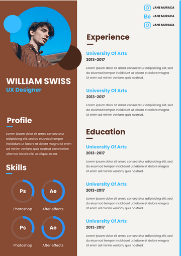 Blue With Brown Resume