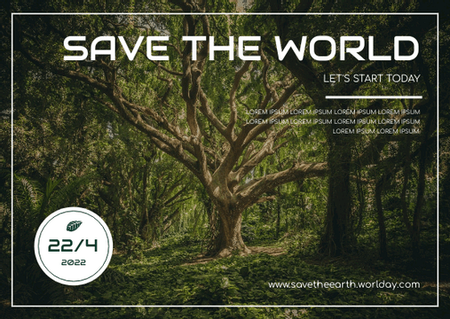Dark Green Forest Photo Earth Day Postcard