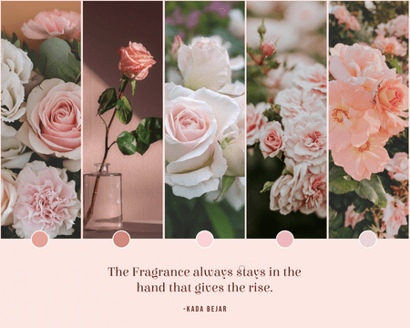 Mood Board template: Fragrance Of Rose Mood Board (Created by Visual Paradigm Online's Mood Board maker)