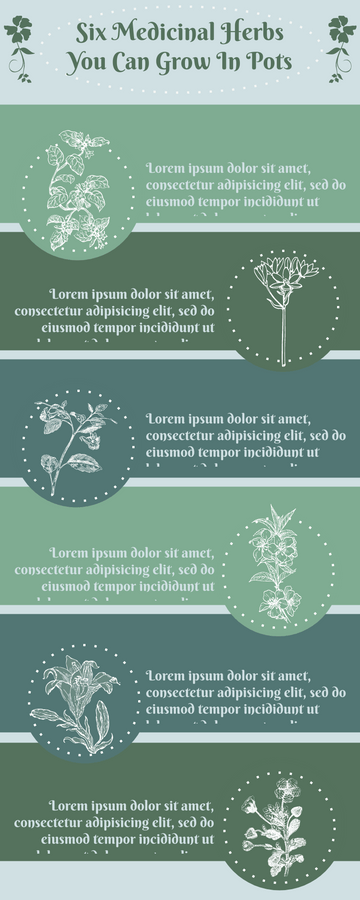 Infographics template: Six Medicinal Herbs You Can Grow In Pots Infographic (Created by Visual Paradigm's online Infographics maker)