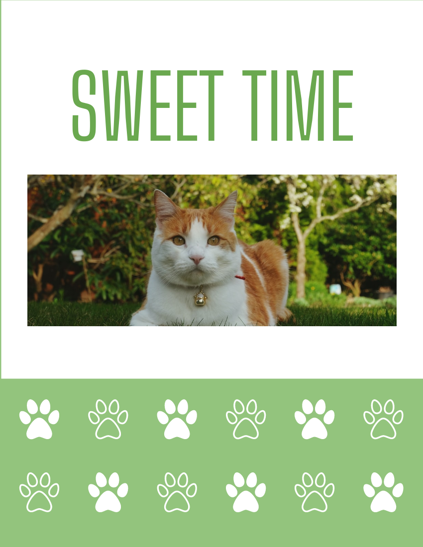 Best Buddy Cat Pet Photo Book