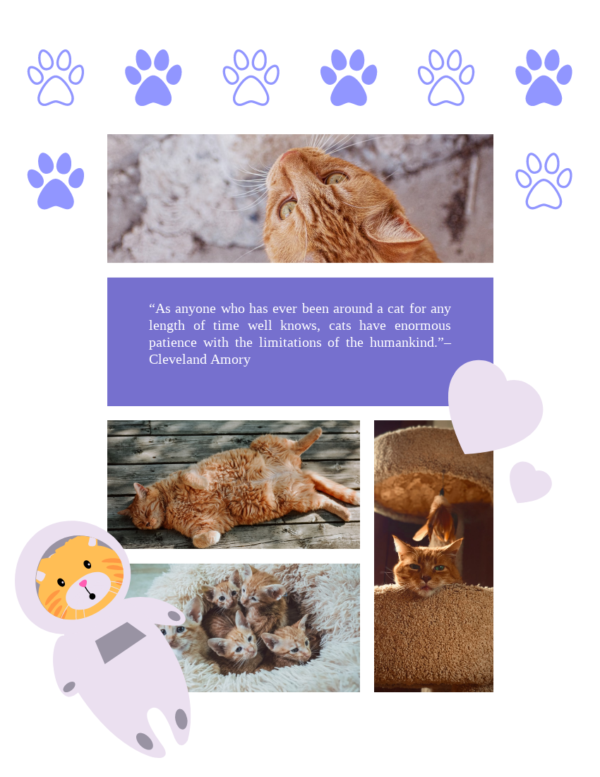 Pet Photo book template: Best Buddy Cat Pet Photo Book (Created by PhotoBook's Pet Photo book maker)