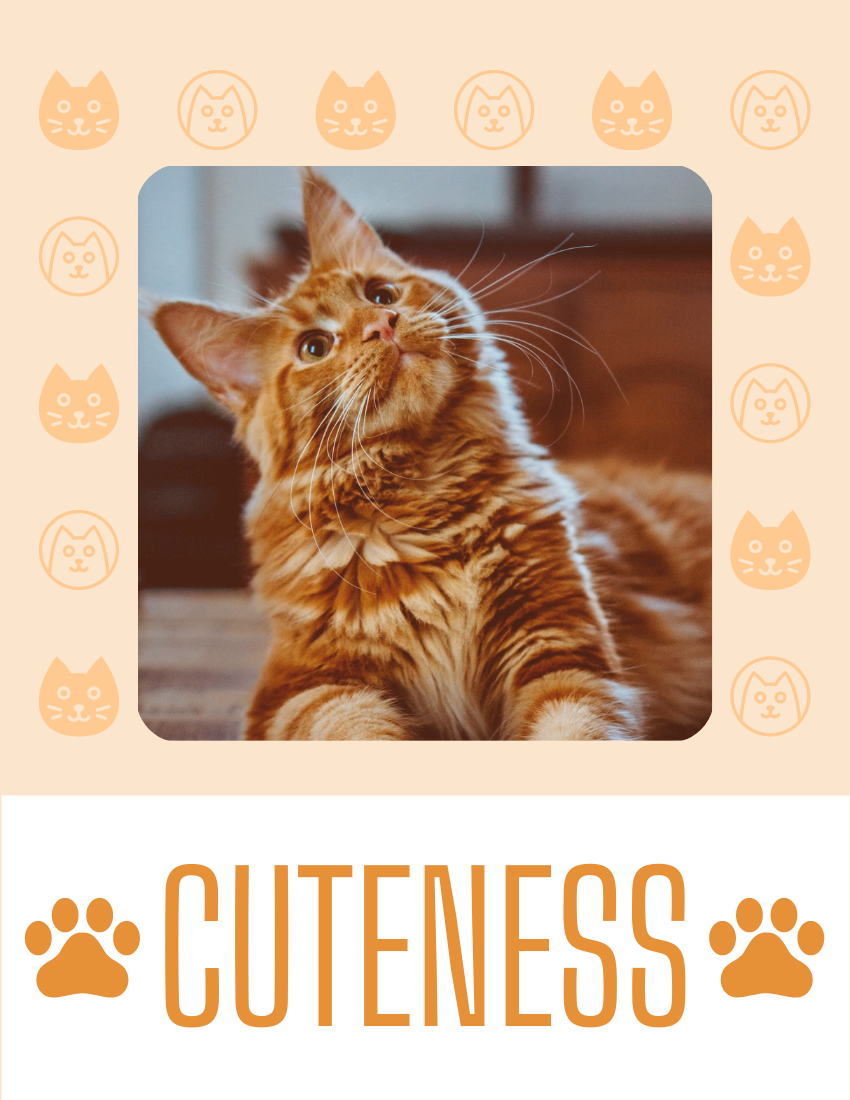 Pet Photo book template: Best Buddy Cat Pet Photo Book (Created by Visual Paradigm Online's Pet Photo book maker)