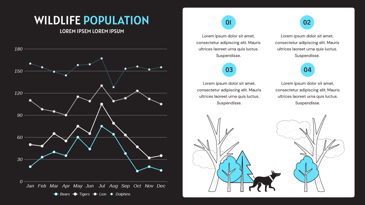 Wildlife Population Stacked Line Chart