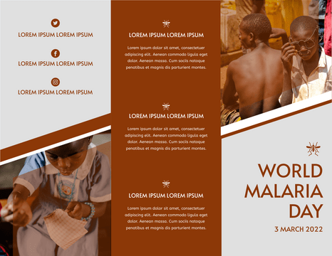 Editable brochures template:World Malaria Day Brochure