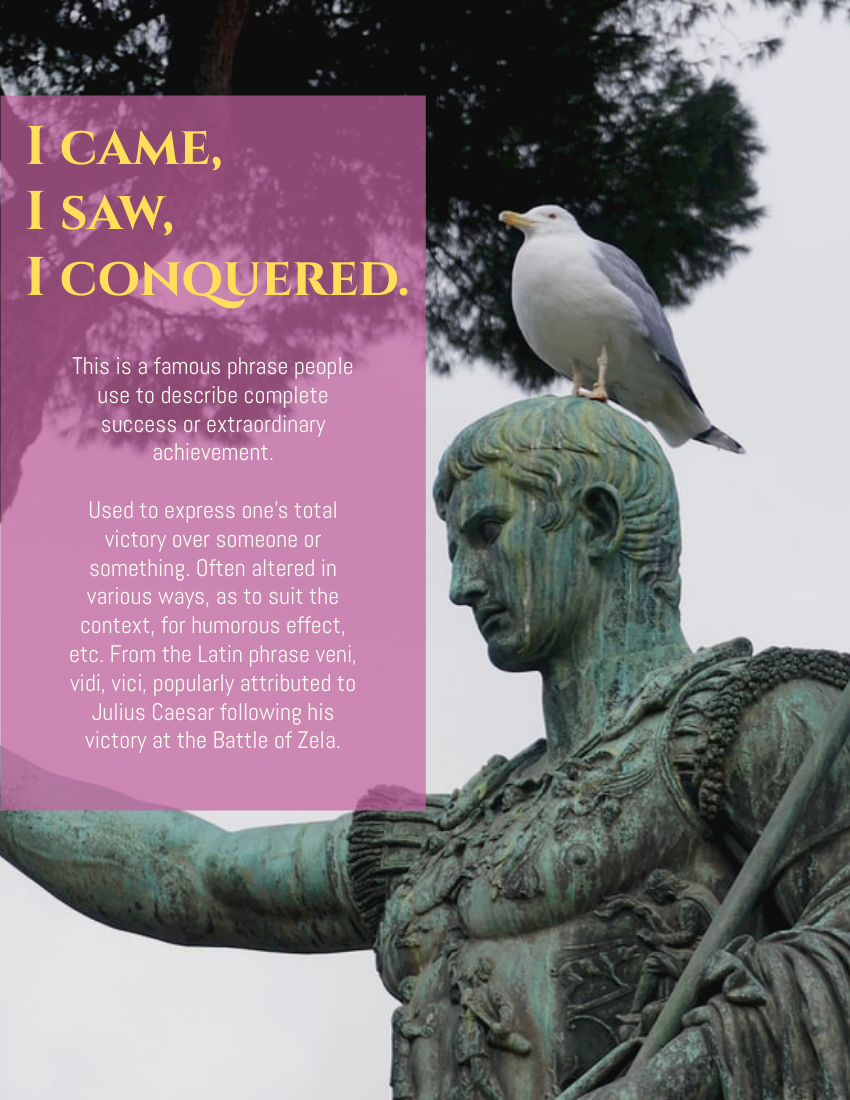 I came, I saw, I conquered.  – Julius Caesar