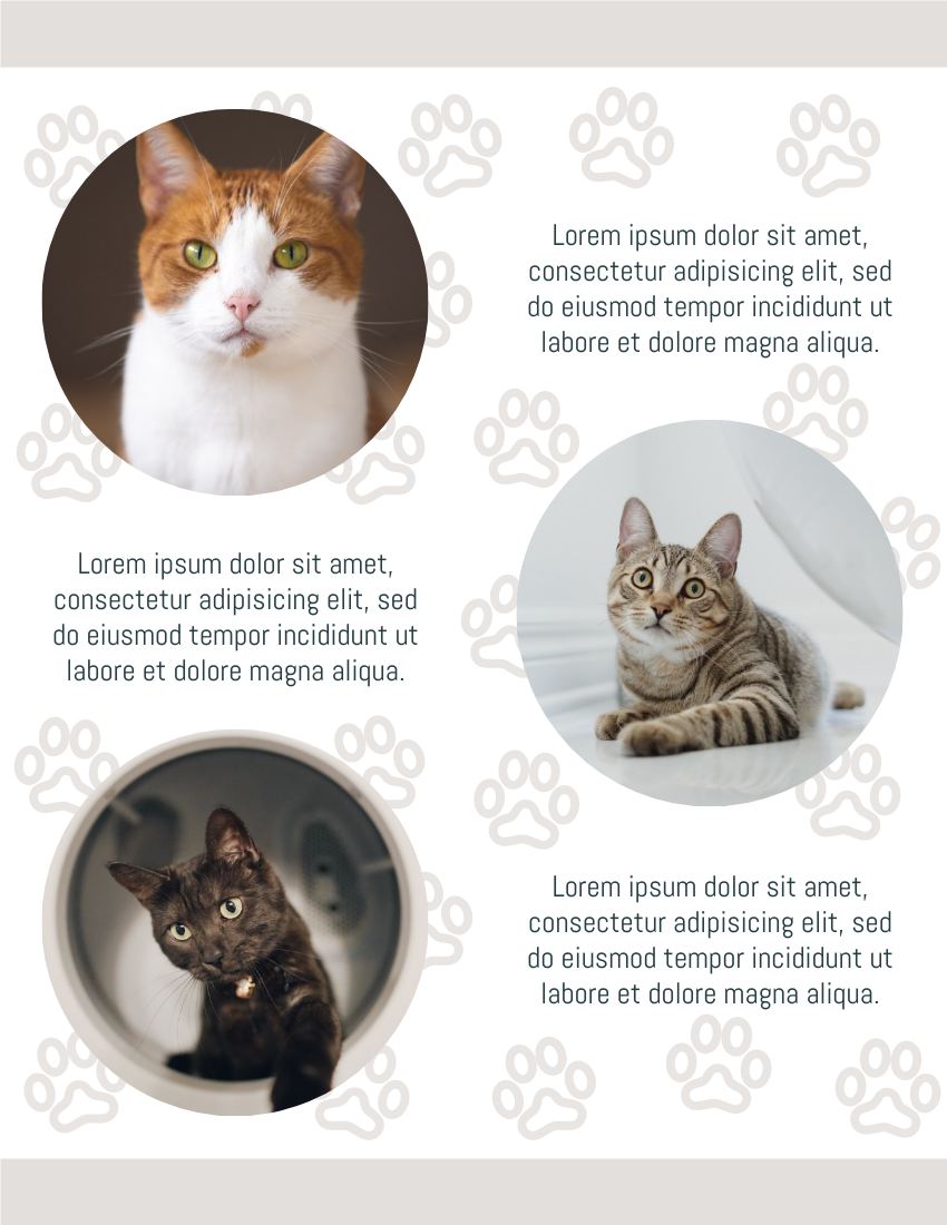 My Furry Friends Pet Photo Book