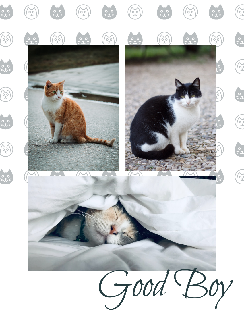 Pet Photo book template: My Furry Friends Pet Photo Book (Created by PhotoBook's Pet Photo book maker)