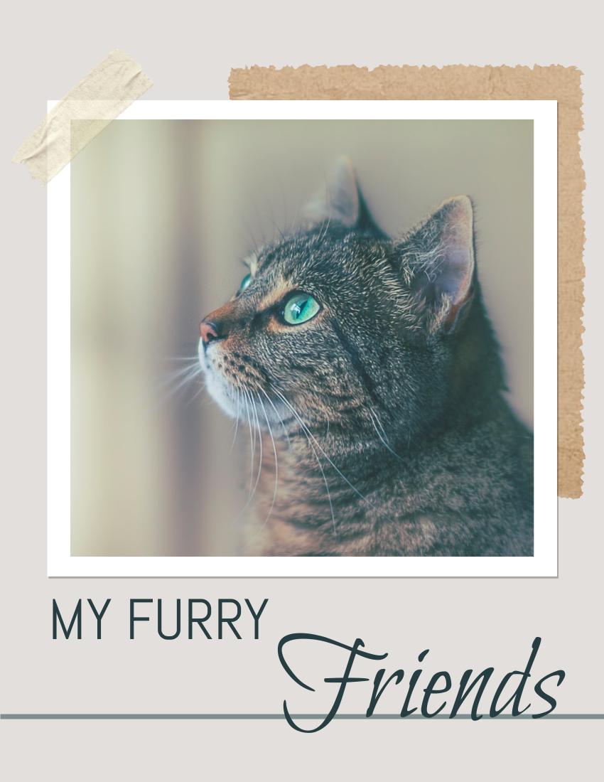 宠物照相簿 模板。My Furry Friends Pet Photo Book (由 Visual Paradigm Online 的宠物照相簿软件制作)