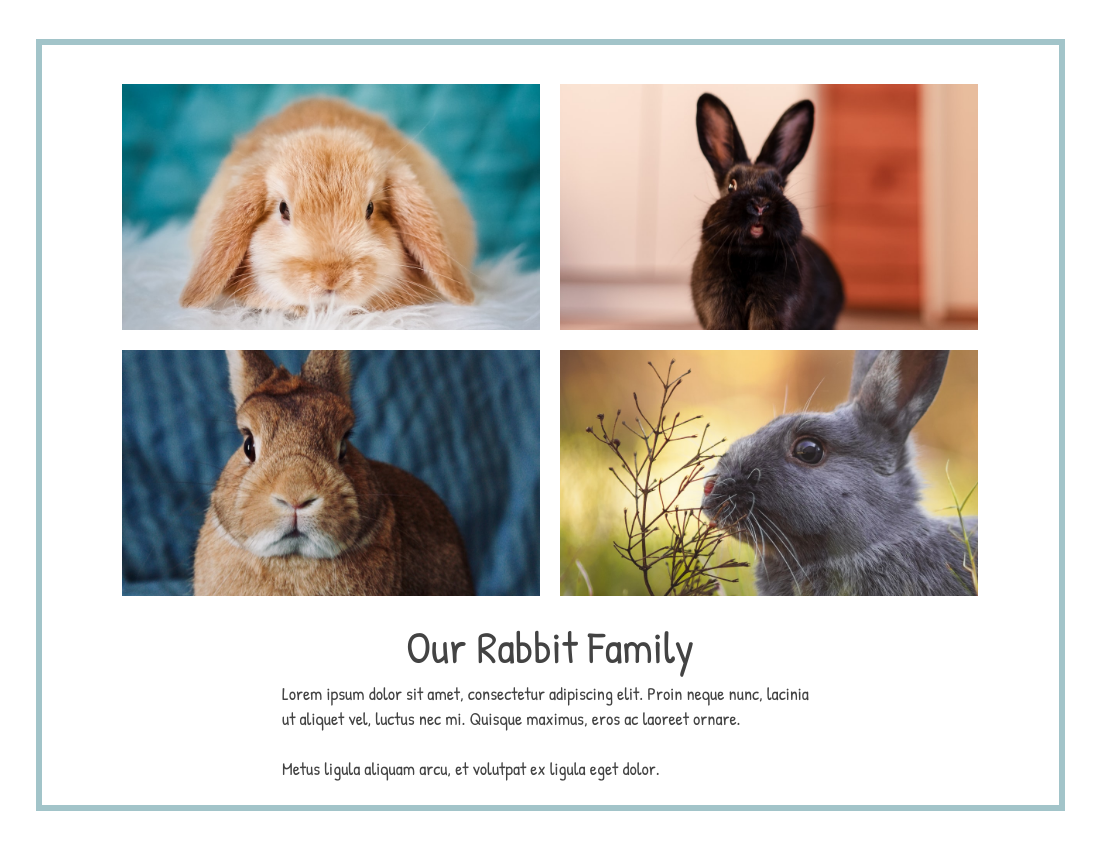 宠物照相簿 模板。Little Rabbit Pet Photo Book (由 Visual Paradigm Online 的宠物照相簿软件制作)