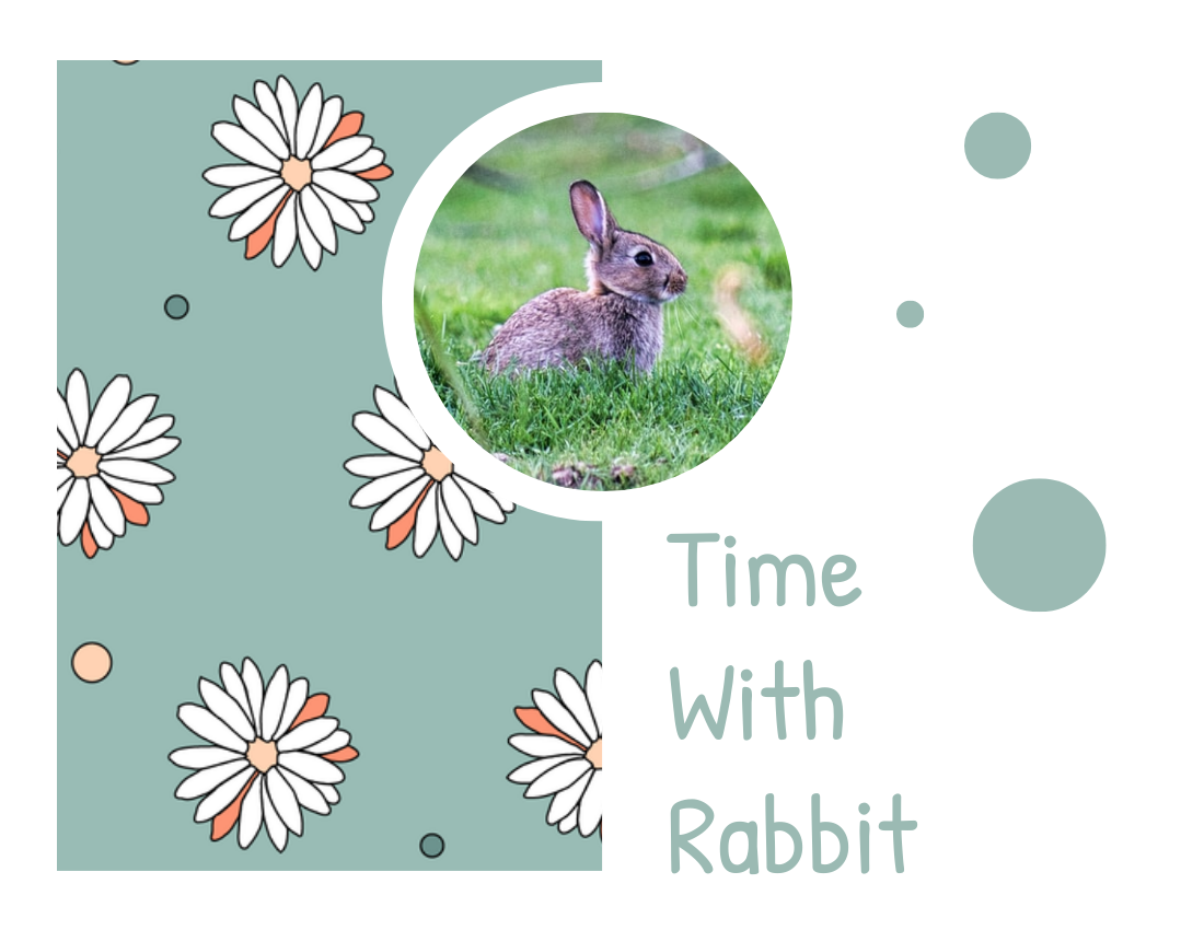 Little Rabbit Pet Photo Book