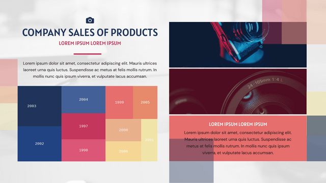 Treemaps template: Company Sales Of Products Treemap (Created by Visual Paradigm Online's Treemaps maker)