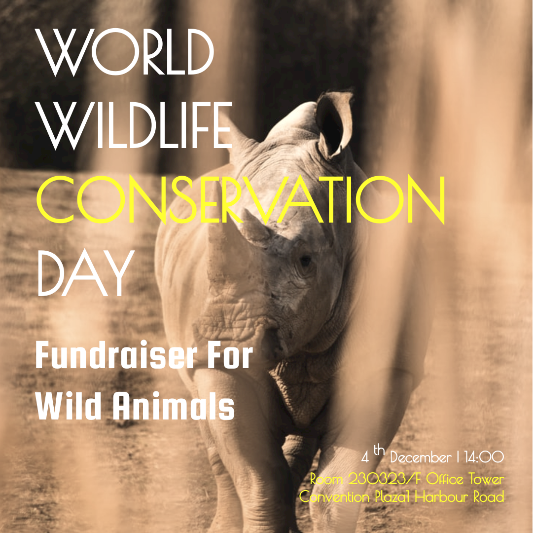 Wildlife Conservation Fundraiser Instagram Post