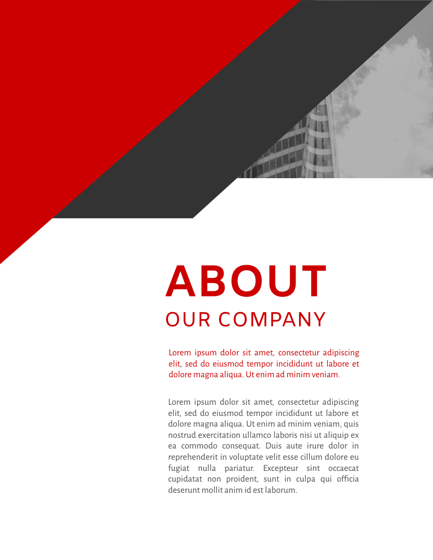 Report template: Black & Red Annual Reports (Created by InfoART's Report maker)