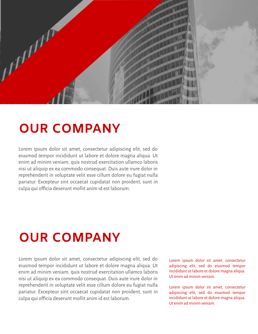 Report template: Black & Red Annual Reports (Created by InfoART's Report maker)
