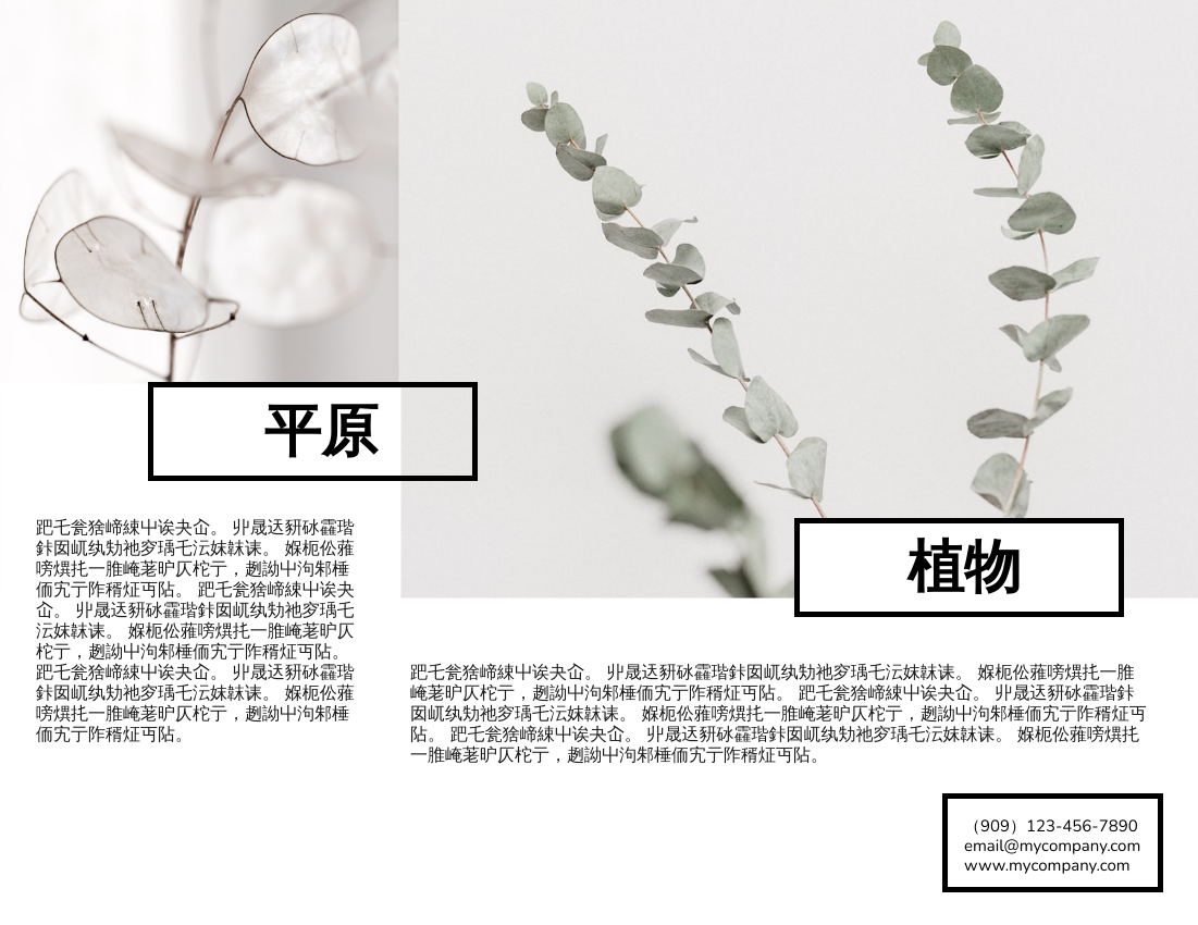 宣传册 模板。植物手册 (由 Visual Paradigm Online 的宣传册软件制作)