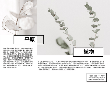 Editable brochures template:植物手册