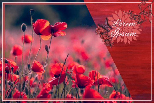Editable greetingcards template:Elegant Flower Illustration Greeting Card
