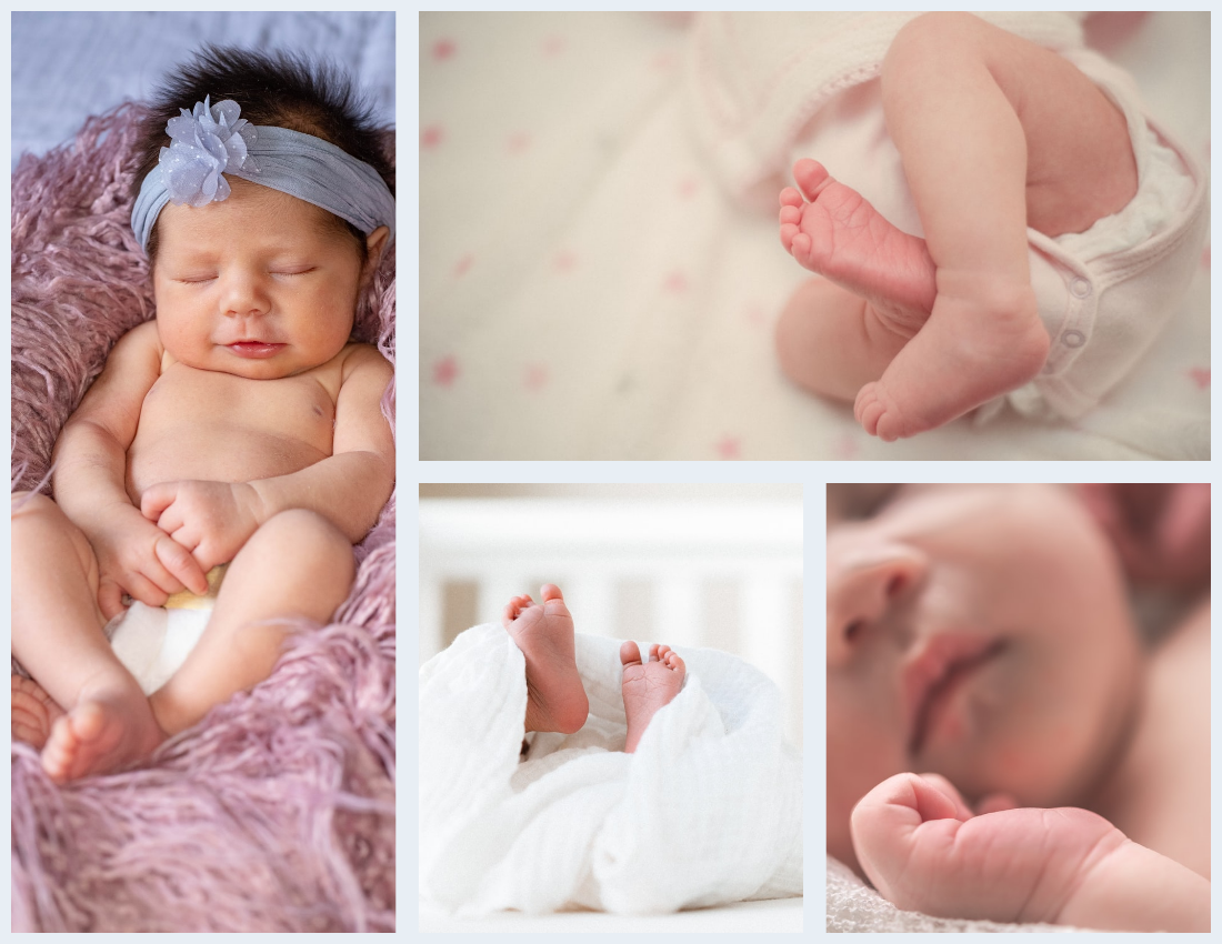 Baby Photo book template: Elegant Floral Baby Photo Book (Created by Visual Paradigm Online's Baby Photo book maker)