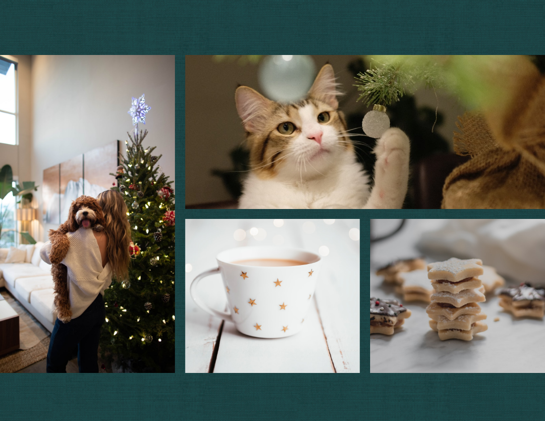 Seasonal Photo Book template: Family Christmas Memories Seasonal Photo Book (Created by Visual Paradigm Online's Seasonal Photo Book maker)