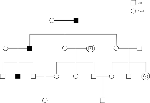 Pedigree Chart template: Pedigree Probability Example (Created by InfoART's Pedigree Chart marker)