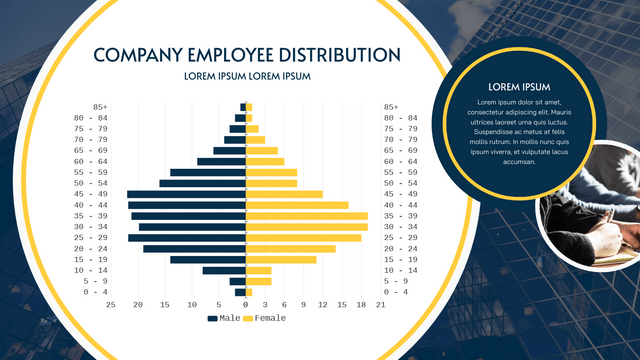 Butterfly Charts template: Company Employee Distribution Butterfly Chart (Created by InfoART's Butterfly Charts marker)