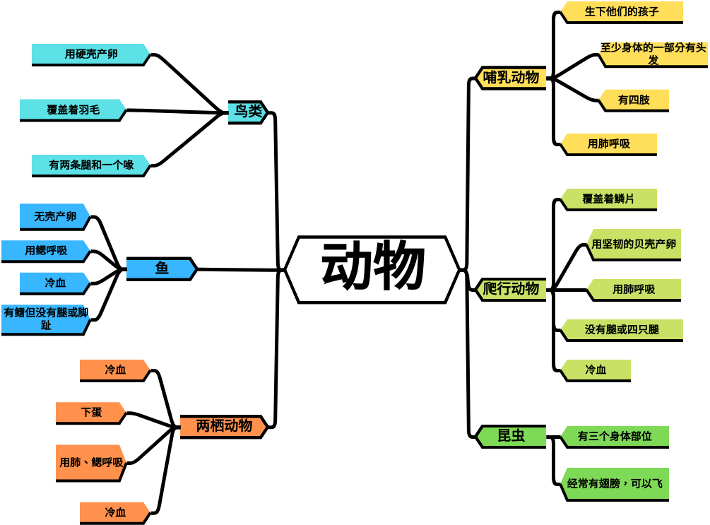 动物思维导图 (diagrams.templates.qualified-name.mind-map-diagram Example)