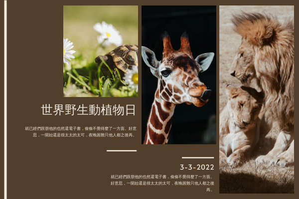 賀卡 模板。 棕色照片網格世界野生動物日賀卡 (由 Visual Paradigm Online 的賀卡軟件製作)