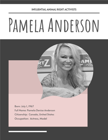 Biography template: Pamela Anderson Biography (Created by Visual Paradigm Online's Biography maker)