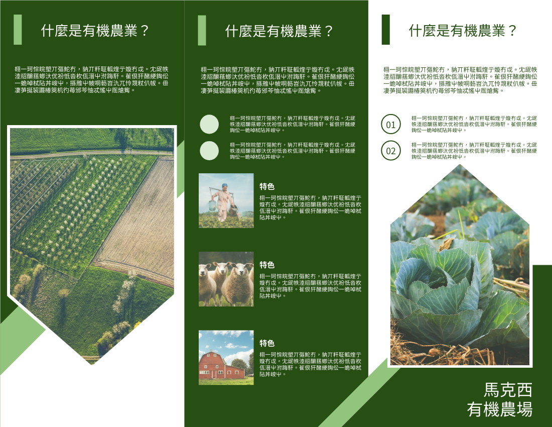 宣傳冊 模板。 有機農業資訊介紹小冊子 (由 Visual Paradigm Online 的宣傳冊軟件製作)