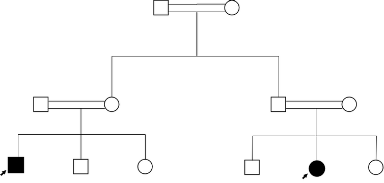 Pedigree Chart template: Autosomal Recessive Trait Pedigree Chart (Created by InfoART's Pedigree Chart marker)