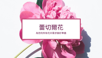 名片 template: 開花粉紅色花店公司名片 (Created by InfoART's 名片 maker)