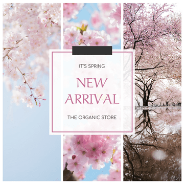 Editable instagramposts template:Cherry Blossom New Arrival Instagram Post