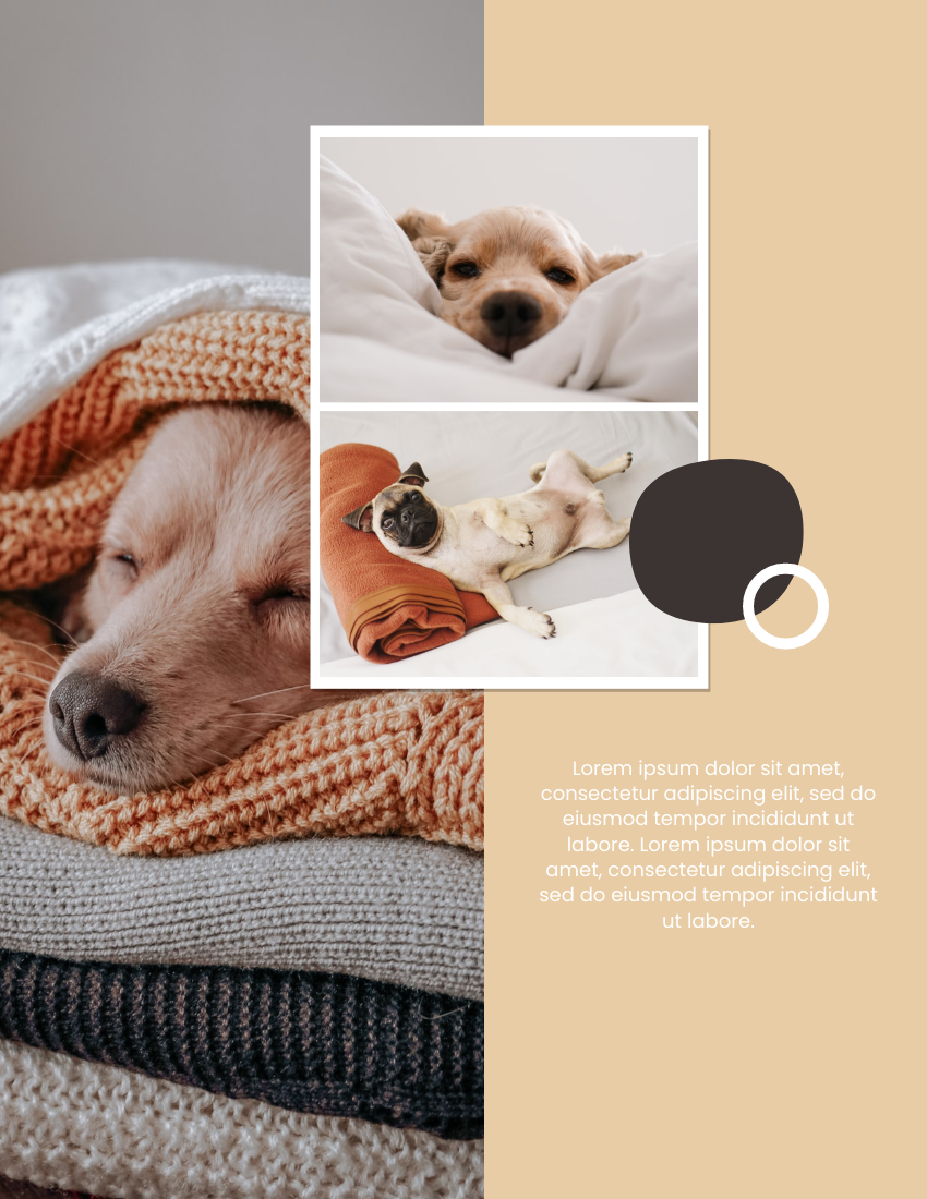 Pet Photo book template: Happy Doggie Pet Photo Book (Created by PhotoBook's Pet Photo book maker)