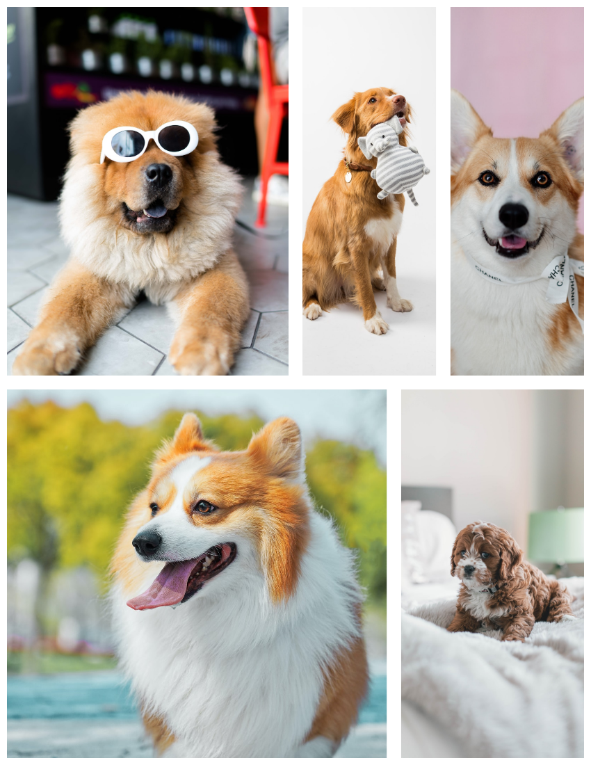 Happy Doggie Pet Photo Book