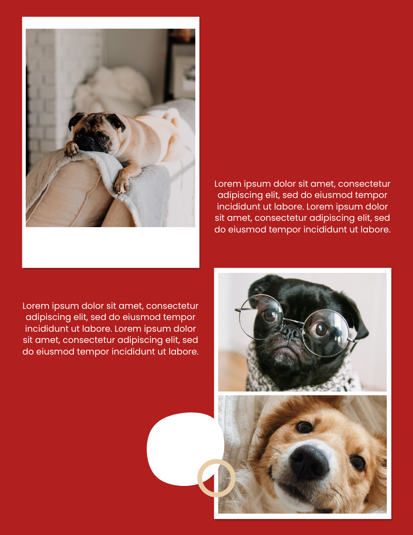 Pet Photo book template: Happy Doggie Pet Photo Book (Created by PhotoBook's Pet Photo book maker)
