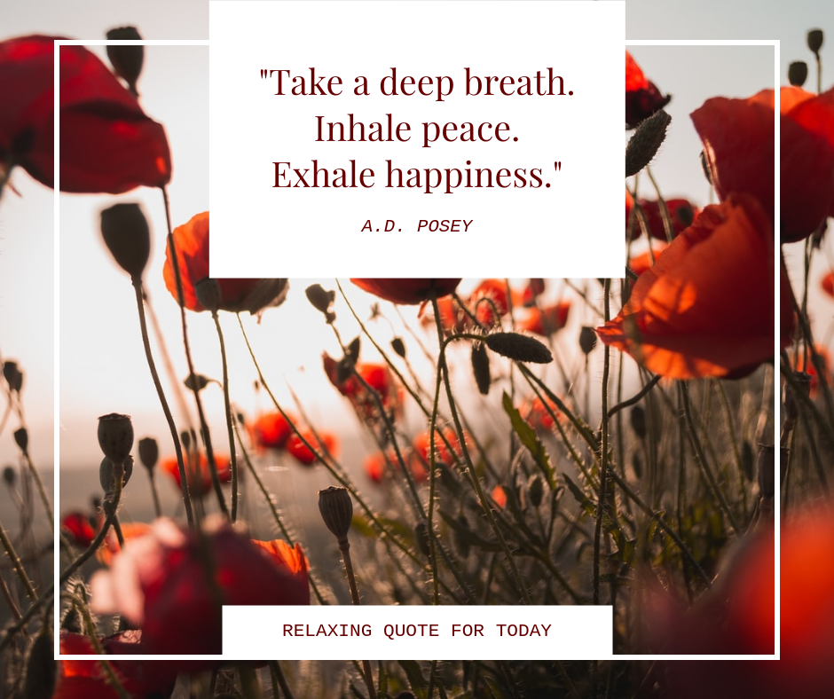 Facebook Post template: Floral Photo Relaxing Quote Facebook Post (Created by Visual Paradigm Online's Facebook Post maker)