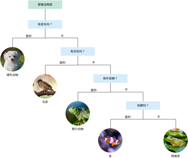 脊椎动物的分类（附图） (二叉式检索表 Example)