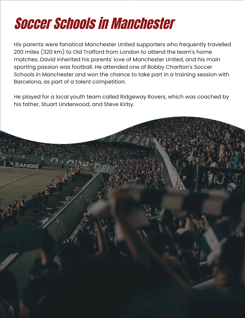 Biography template: David Beckham Biography (Created by Visual Paradigm Online's Biography maker)