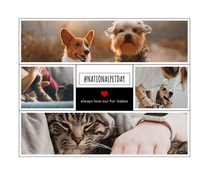 Facebook Posts template: National Pet Day Facebook Post (Created by Visual Paradigm Online's Facebook Posts maker)