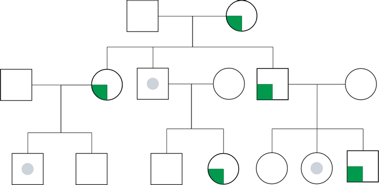 Genogram template: Genogram With Inheritance of Diabetes (Created by InfoART's Genogram marker)