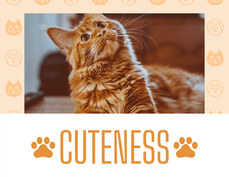 宠物照相簿 模板。Best Buddy Cat Pet Photo Book (由 Visual Paradigm Online 的宠物照相簿软件制作)