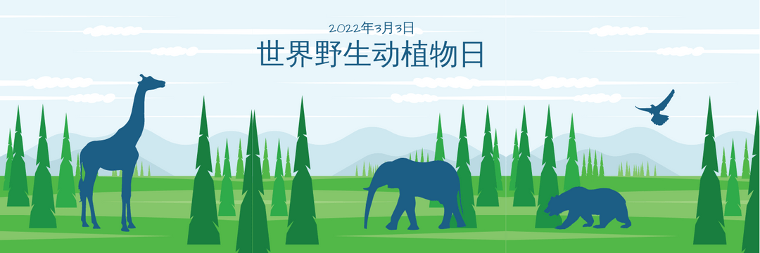 Twitter 标题 模板。森林图世界野生动物日Twitter标题 (由 Visual Paradigm Online 的Twitter 标题软件制作)