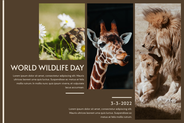 Greeting Card template: Brown Photo Grids World Wildlife Day Greeting Card (Created by Visual Paradigm Online's Greeting Card maker)