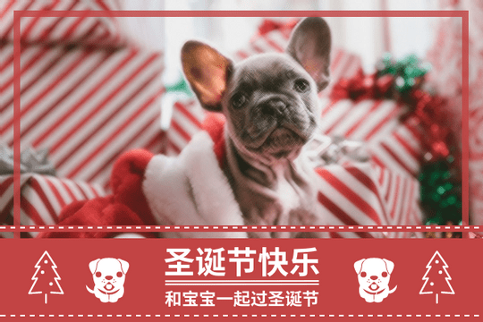 Editable greetingcards template:与宠物一同过圣诞主题贺卡