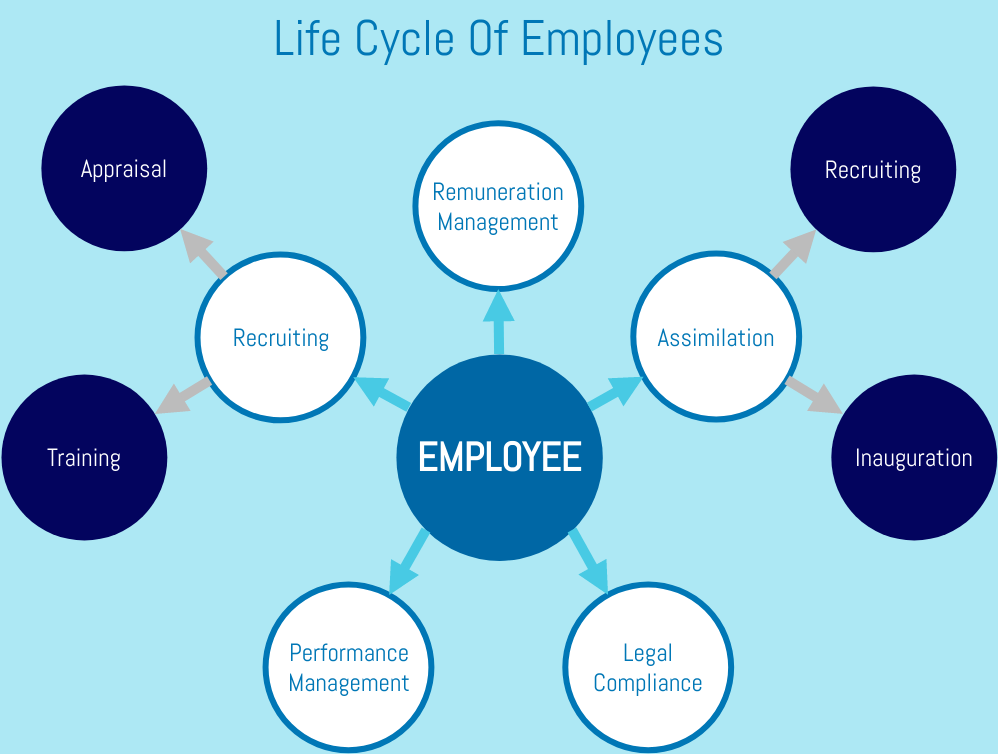 Cluster Diagram Example: Employment (Cluster Diagram Example)