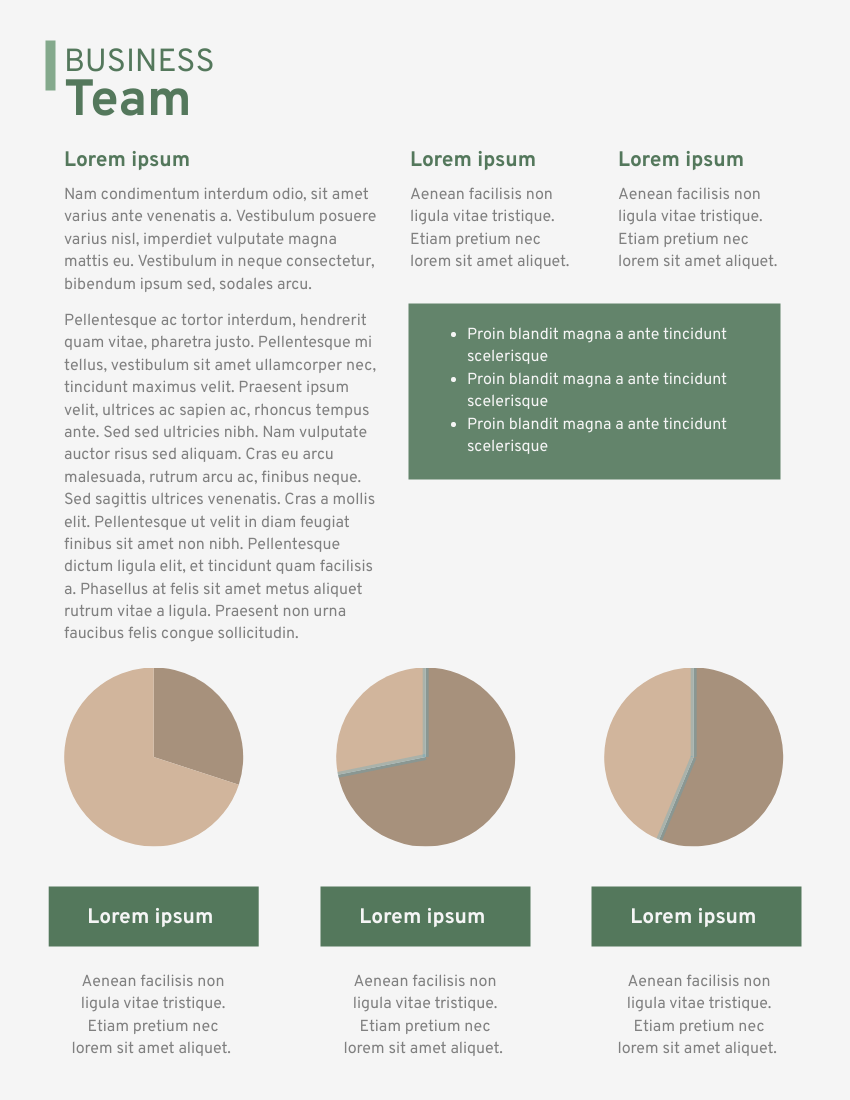 Report template: Business Marketing Reports (Created by Visual Paradigm Online's Report maker)