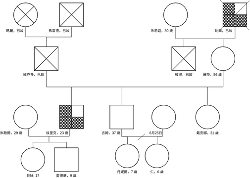 家系圖 模板。 簡單的基因圖示例 (由 Visual Paradigm Online 的家系圖軟件製作)