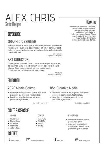 Resume template: Simple02 Resume (Created by Visual Paradigm Online's Resume maker)