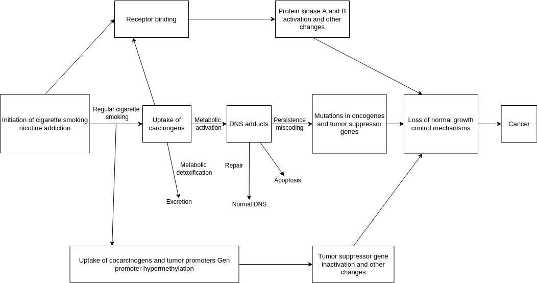 Problem Flow Diagram template: Smoking Problem Flowchart (Created by Visual Paradigm Online's Problem Flow Diagram maker)